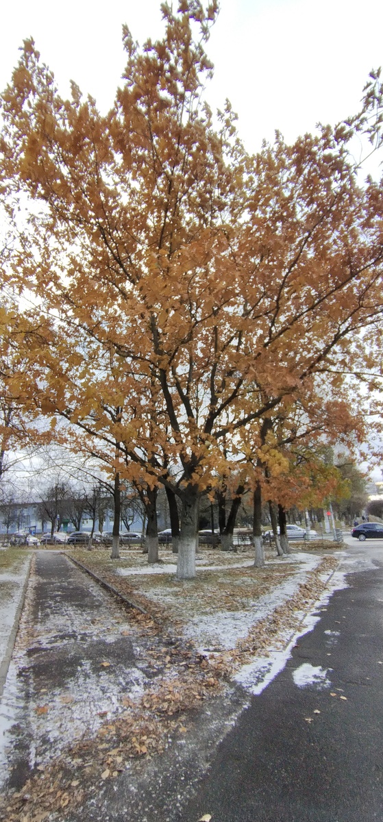 Личное фото