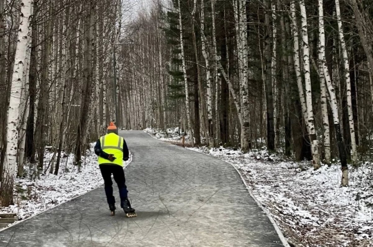    В Стрежевом открыли Зеленый коридор и лыжероллерную трассу