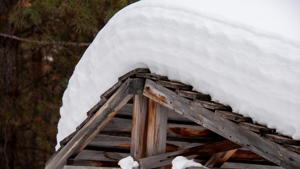    Фото: Svetlana Vozmilova/Globallookpress