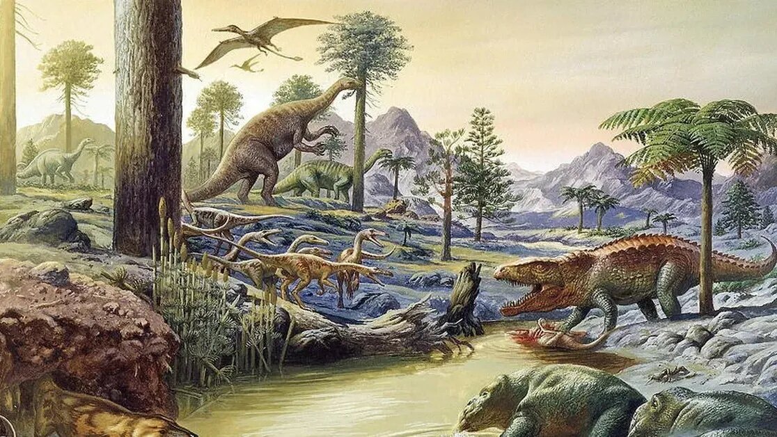 Земля в эпоху мегалодонов