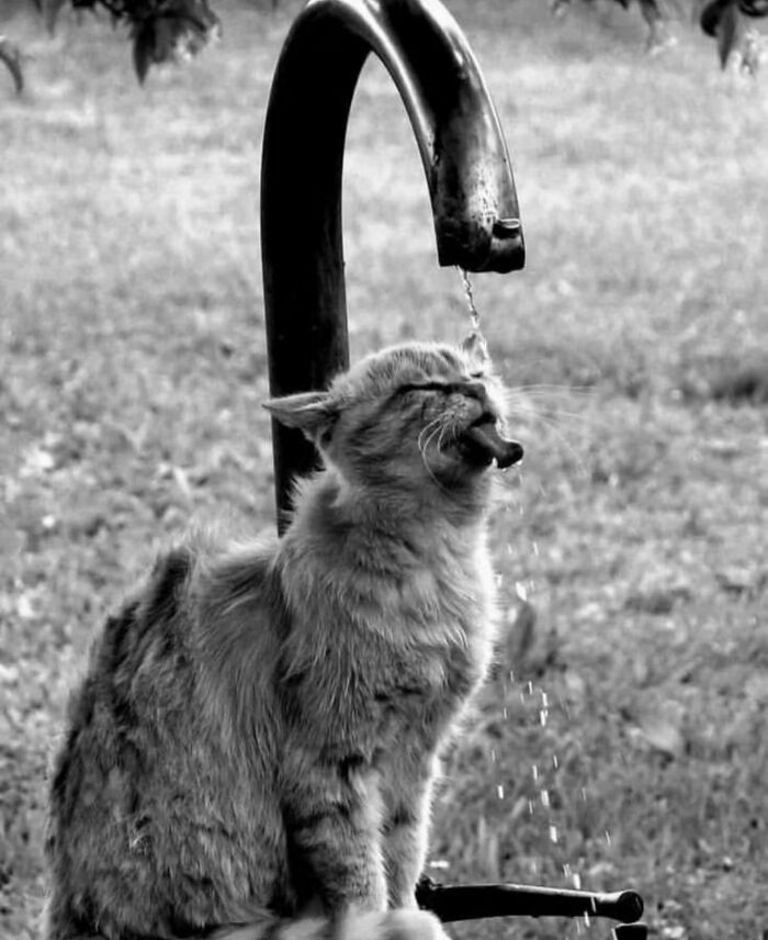 Фото Джона Мостера. Источник: streetphotographersfoundation.com