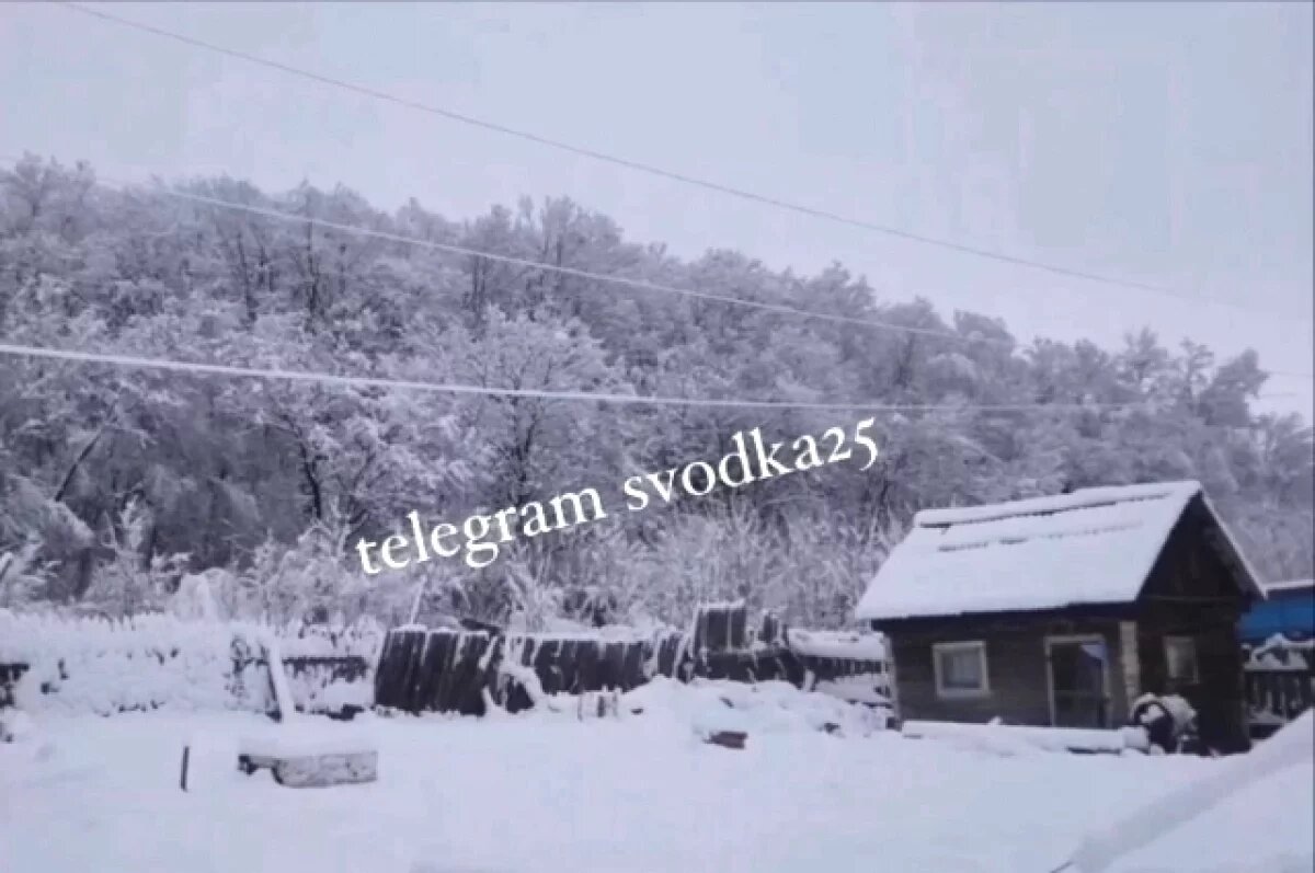    Снег накрыл значительную часть Приморья