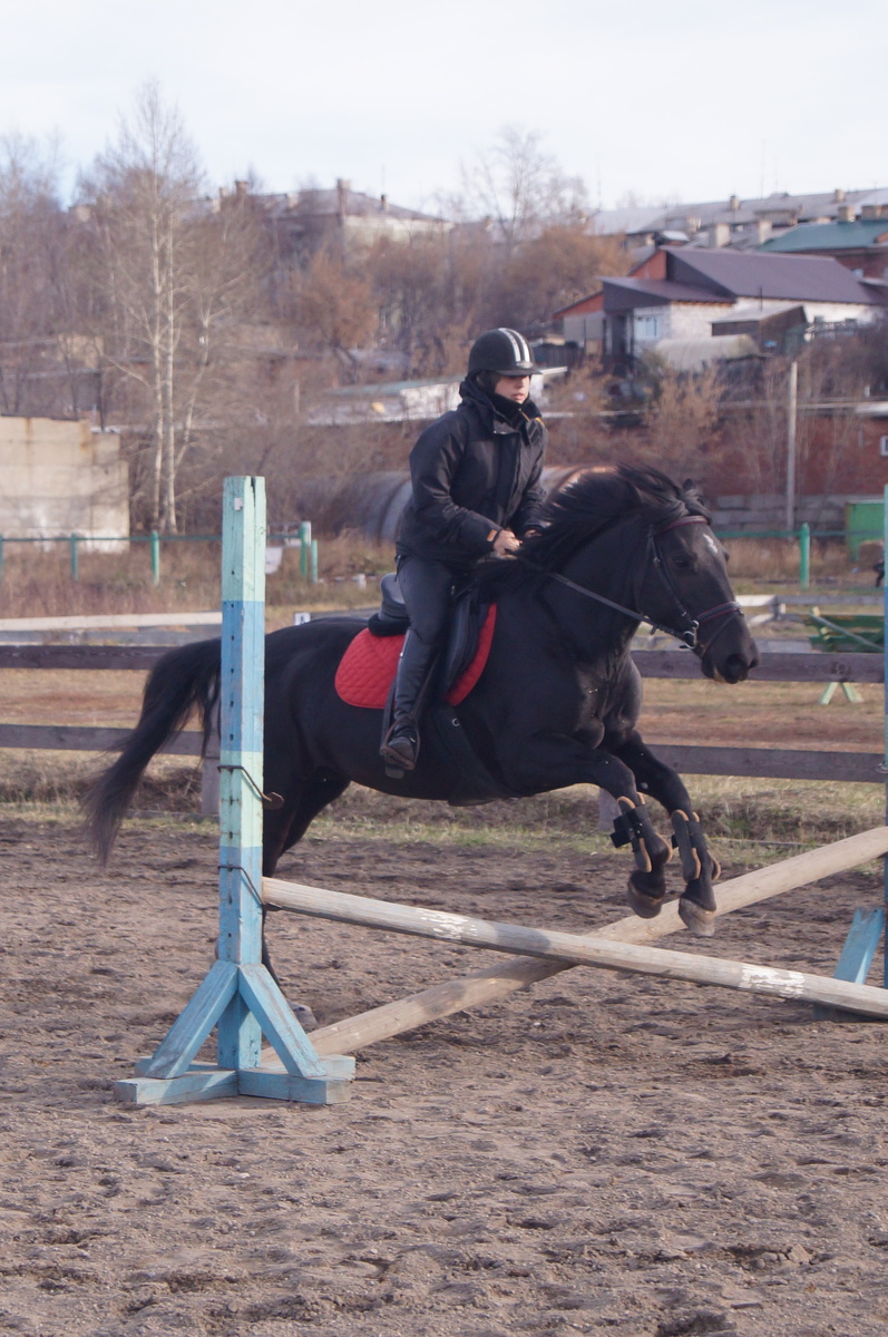 Бонни. Фото из личного архива 