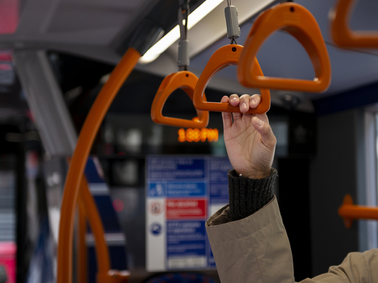     Фото: freepik.com