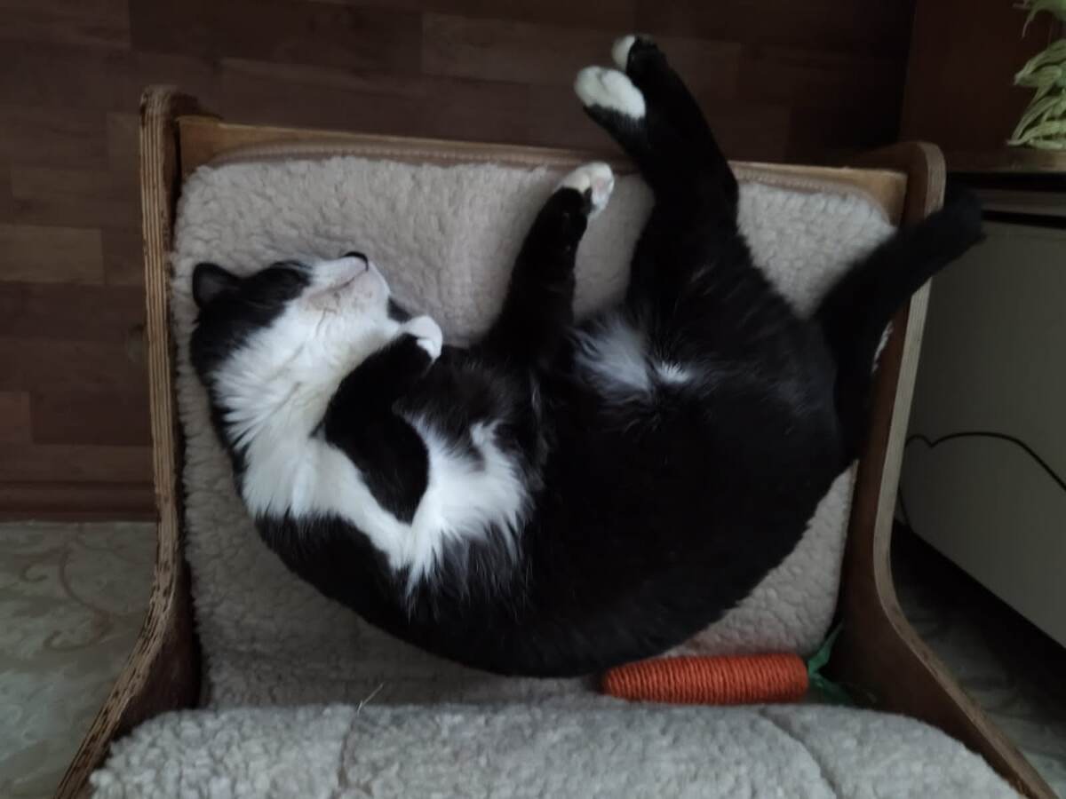 Лень или комфорт, выбираем