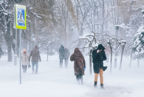    Снегопад в Харькове