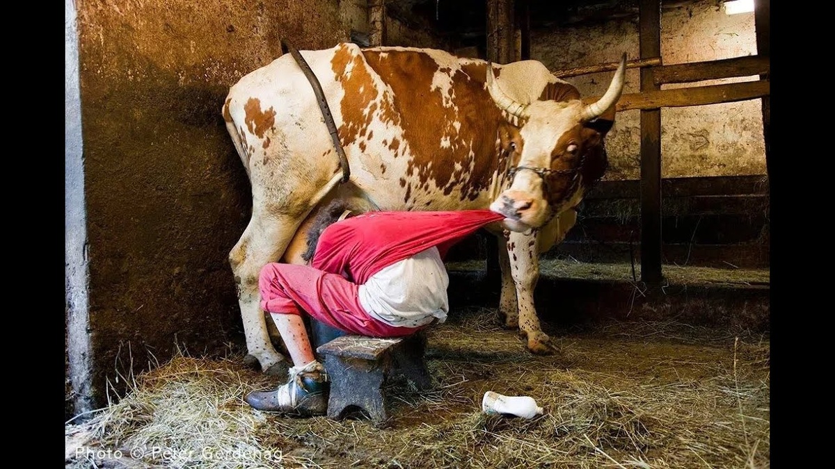 Изображение взято из Интернета. 