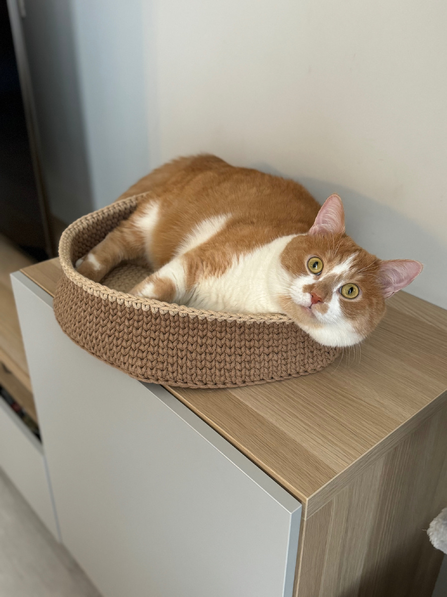 Не получается теперь полежать спокойно в одиночестве, как раньше(((