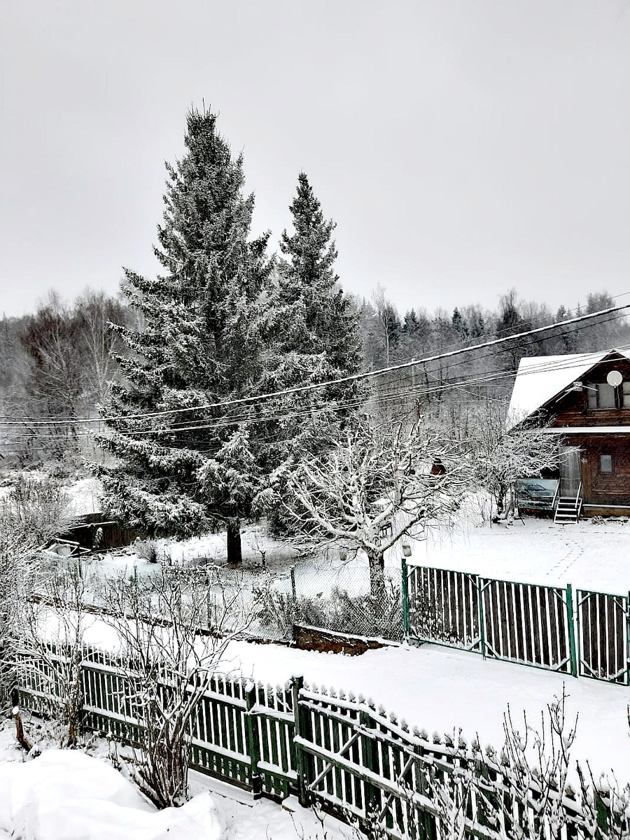 4 ноября 2024 г