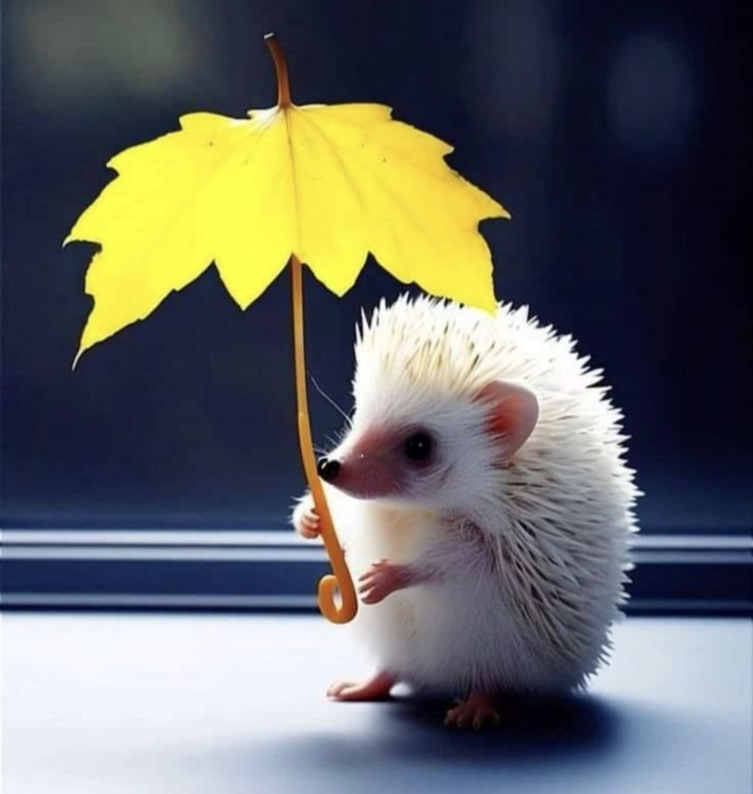 Вот так бывает, когда больше недели не пишешь.