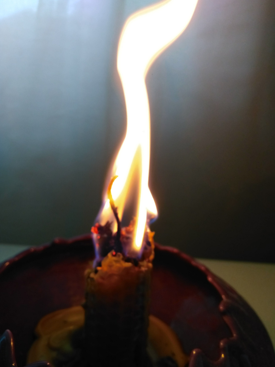 Фото автора статьи 