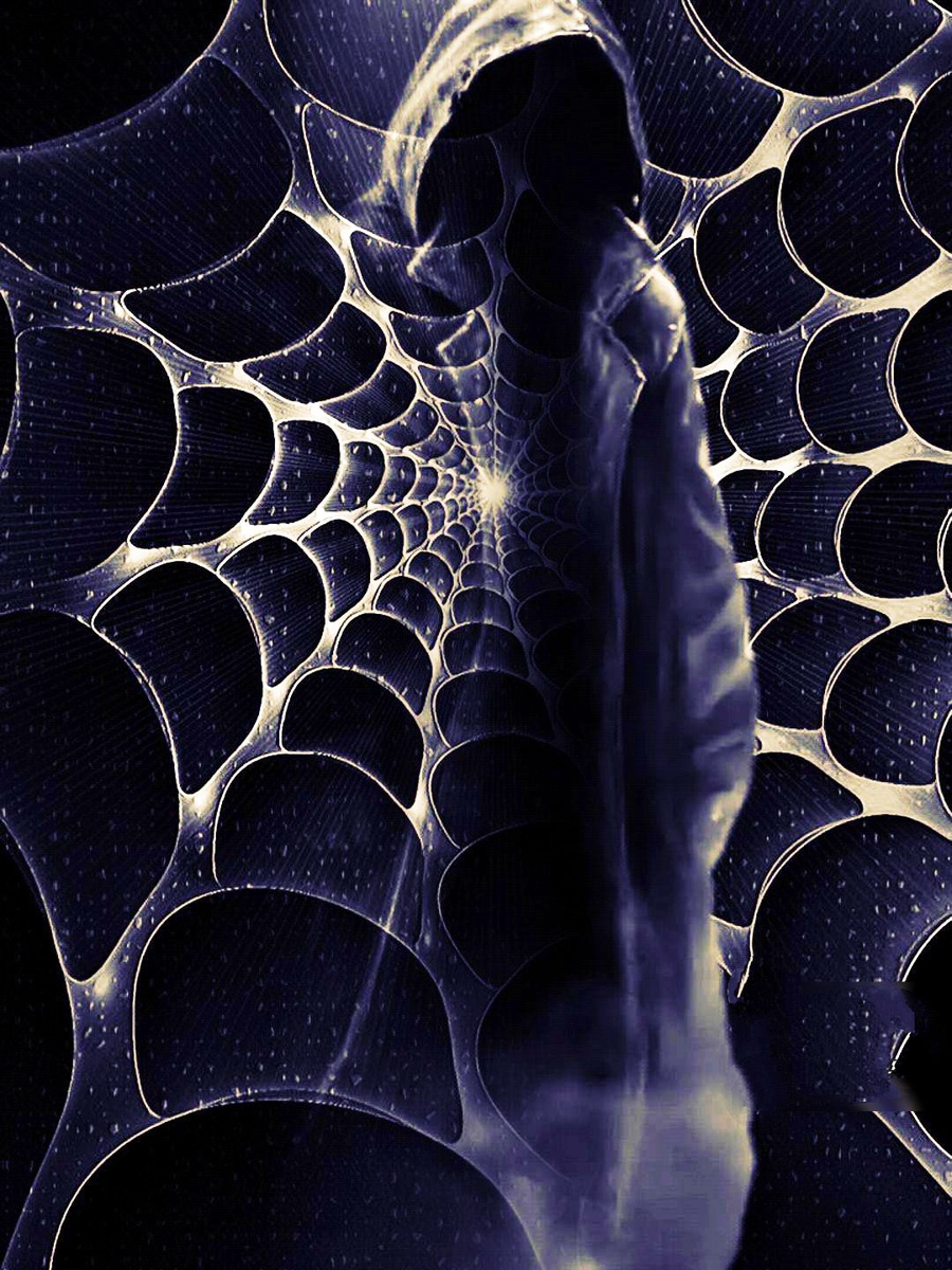 Фотоколлаж автора статьи 