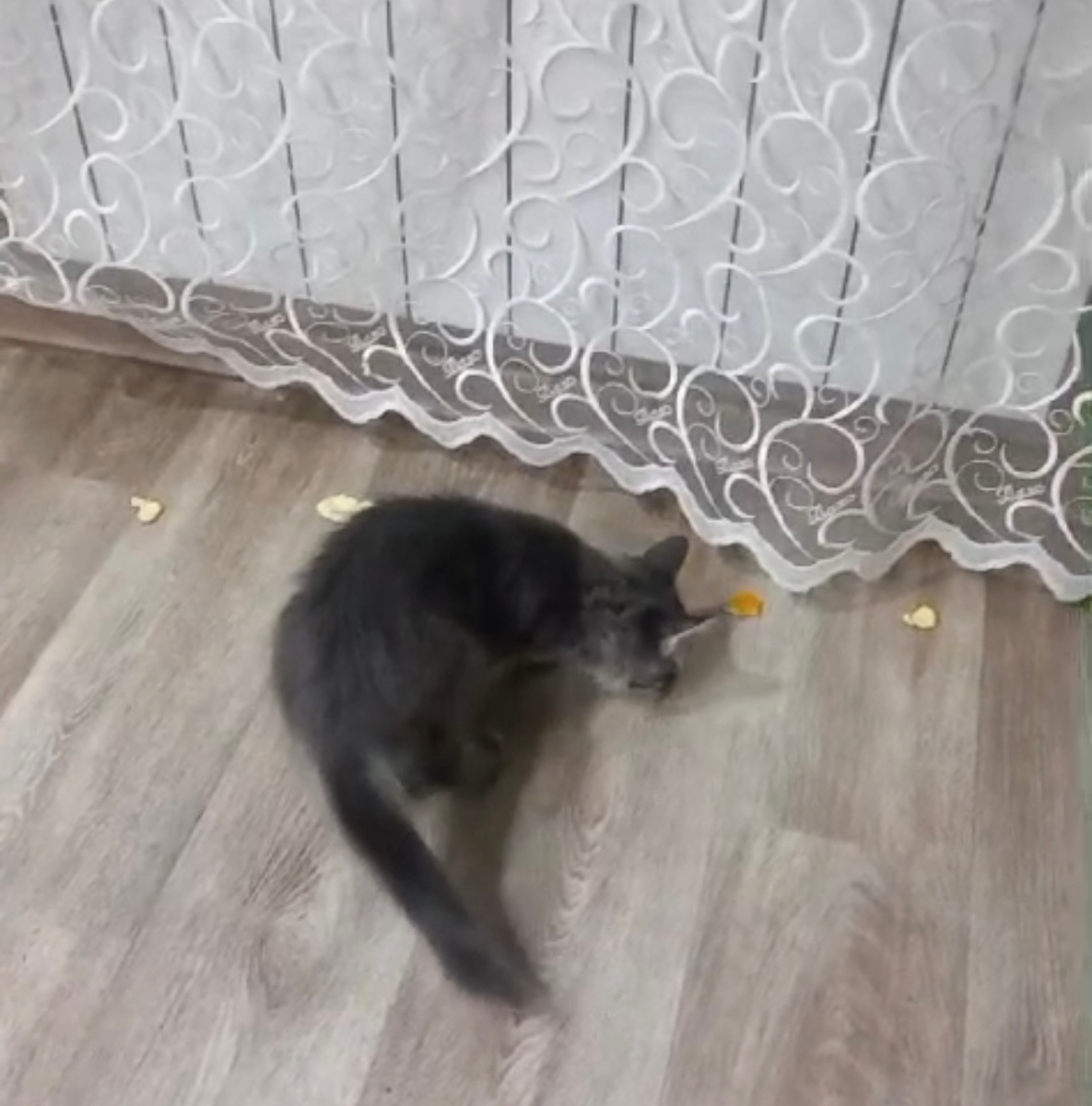 Всё фотографии в статье авторские