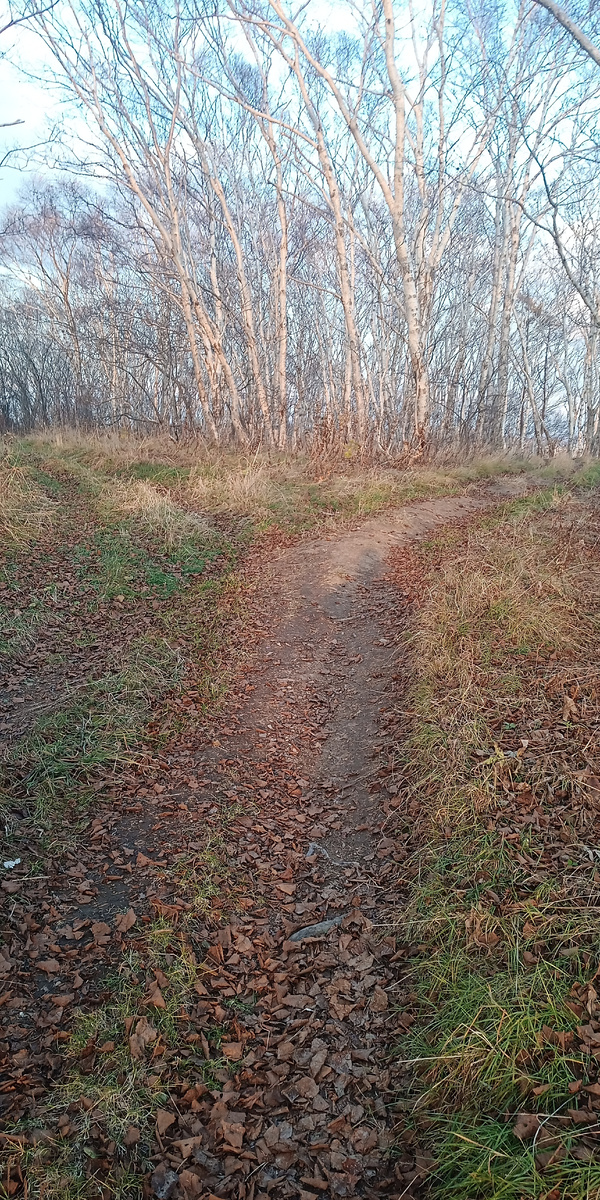 осенняя красота