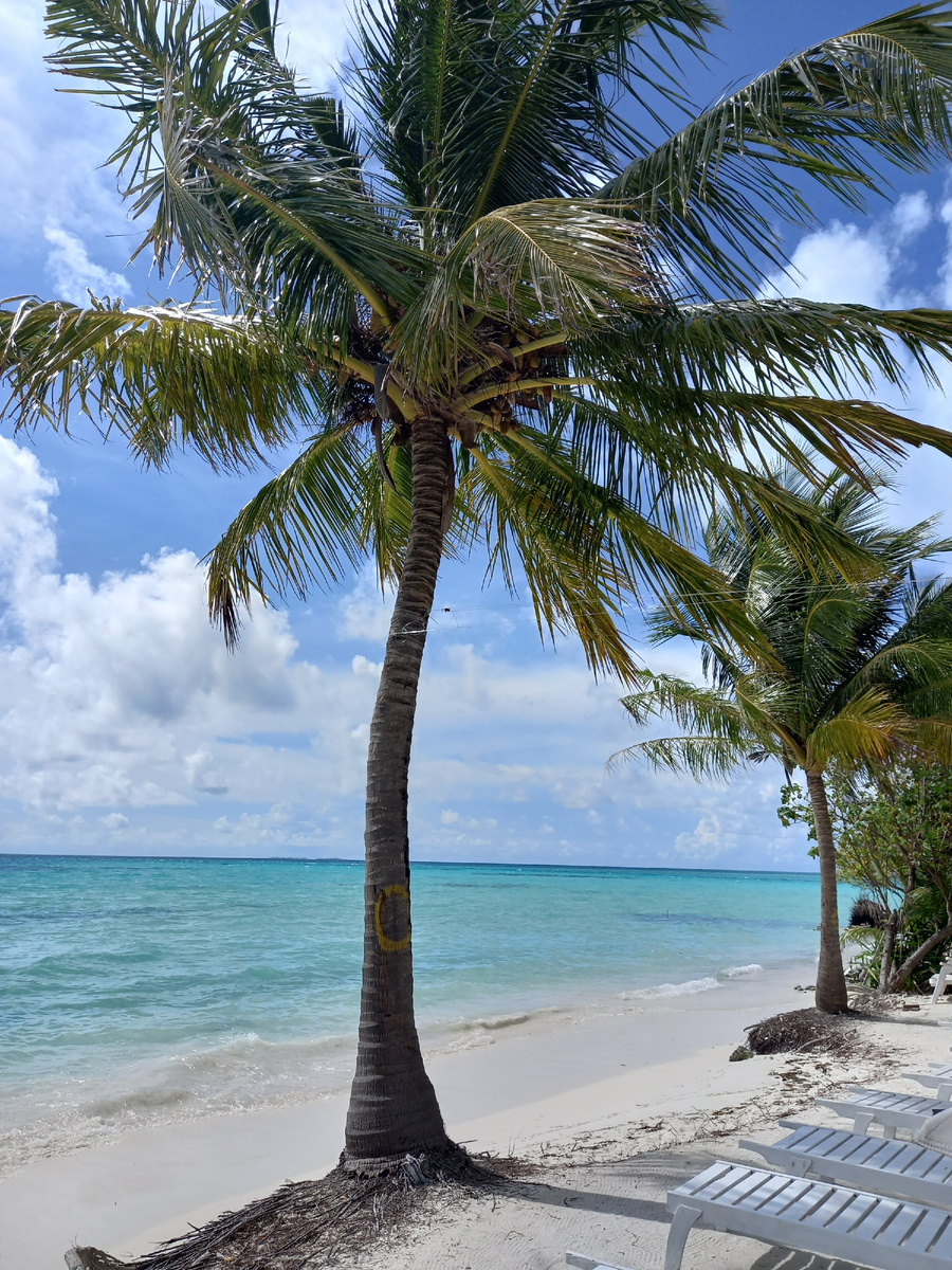 Пляж на островы Диффуши. Мальдивы.