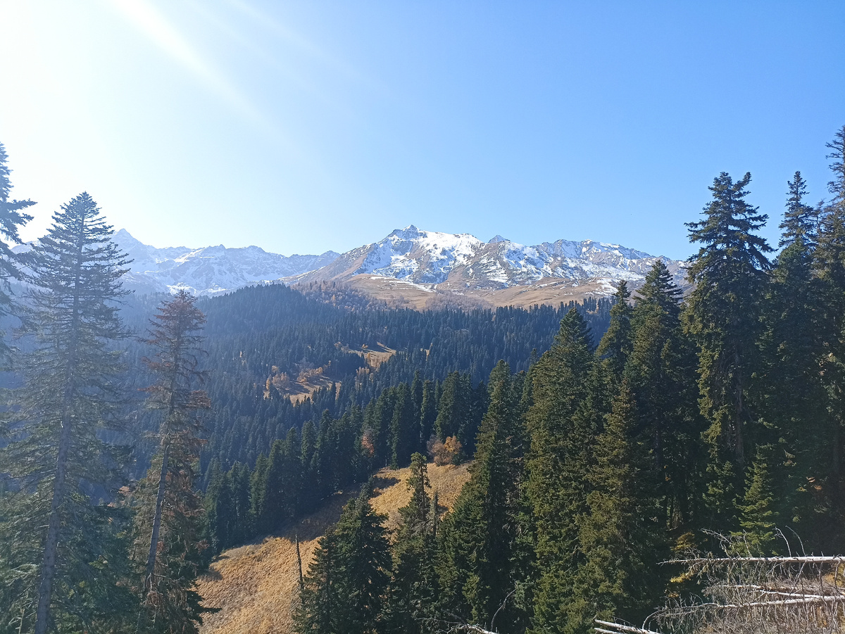 Смотровая по пути