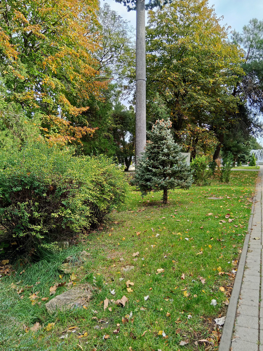 Парк у моря