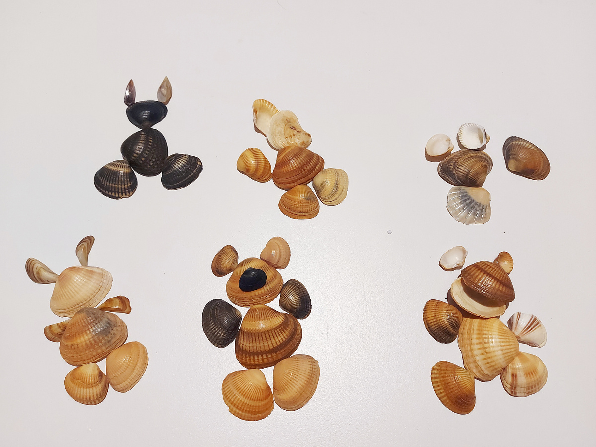 Заготовки из ракушек
