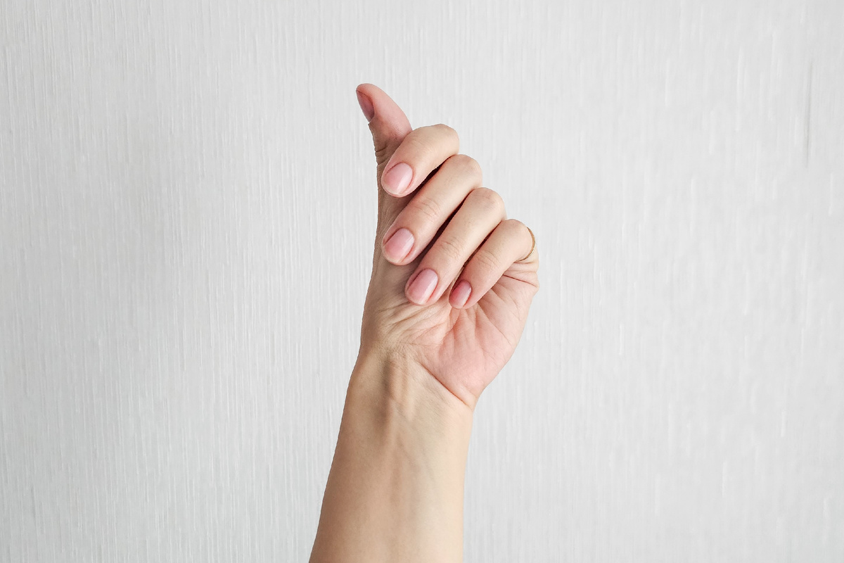 А вот они, мои хорошие, сейчас