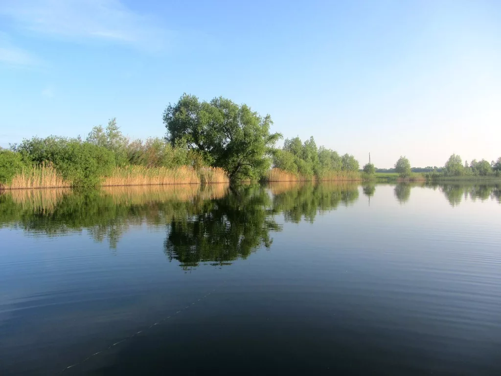 Фото с сайта: https://avatars.mds.yandex.net