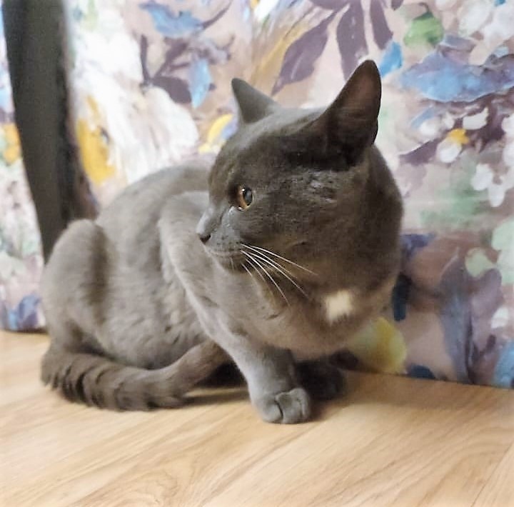 То самое фото из домового чата. ОЛЬГЕ спасибо)