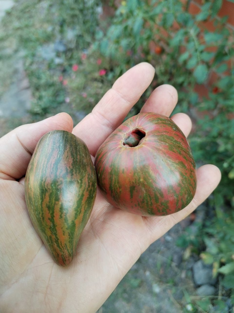 Лунный свет Блейна