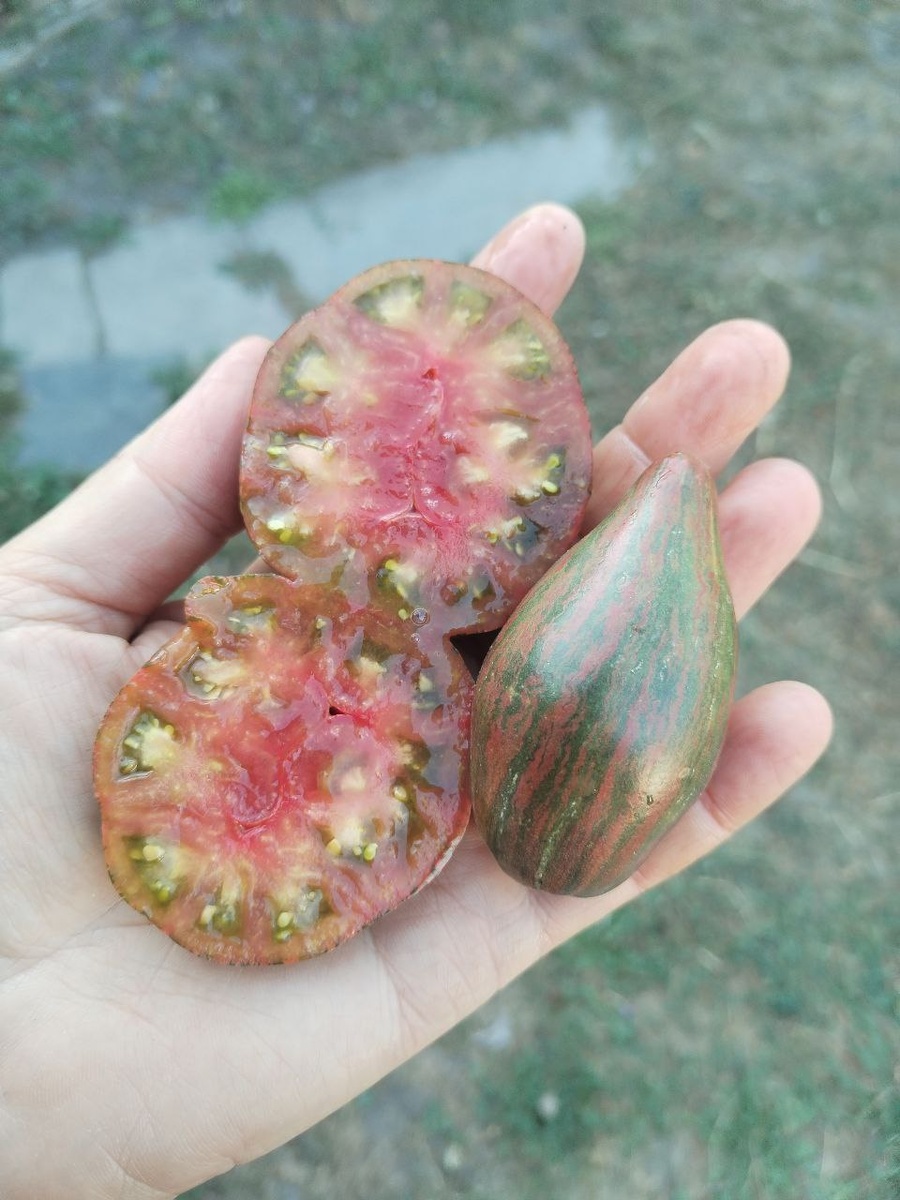 Лунный свет Блейна