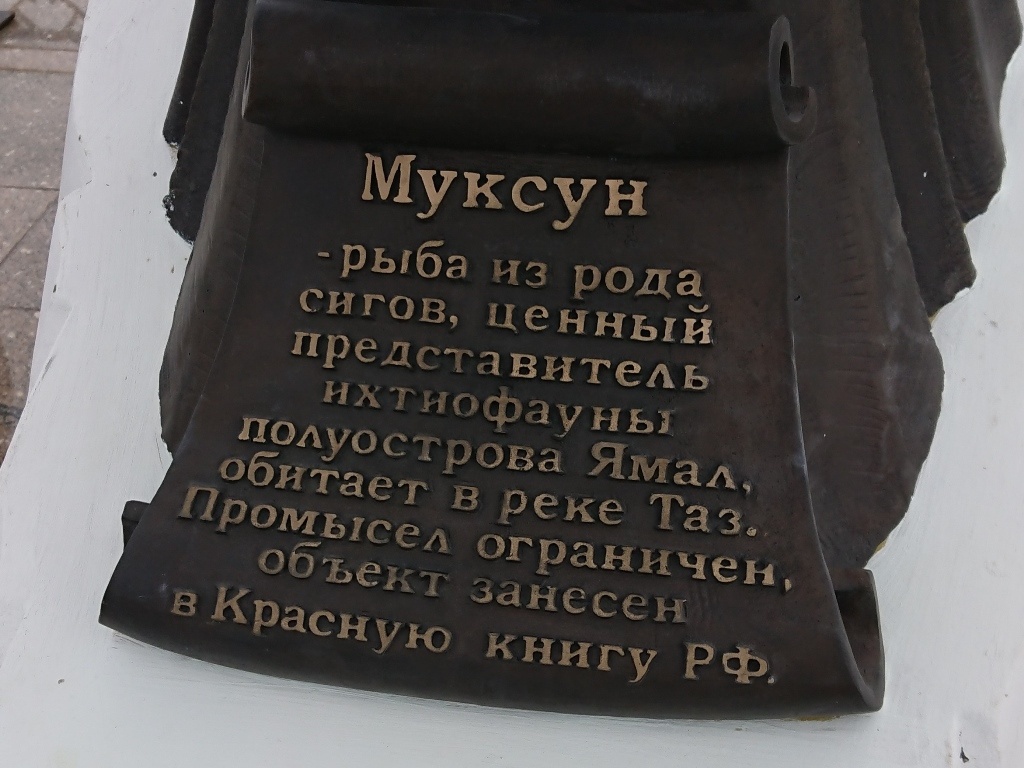 Как я сюда попал - https://dzen.ru/a/Zx6RU0X_wxNXVv4g Заселился-умылся-переоделся… … и знакомиться с местностью.-4