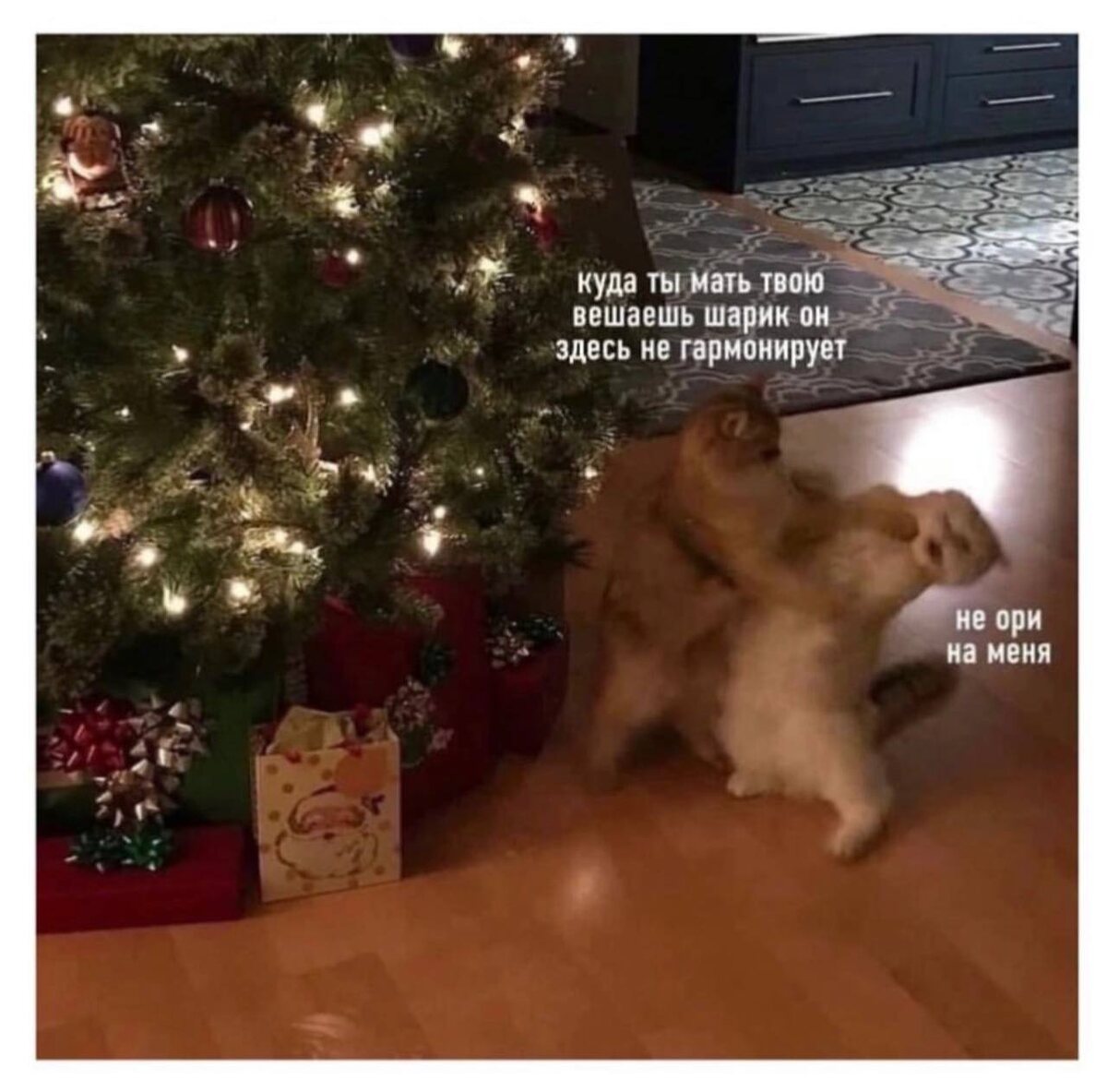 Мы или не мы!?