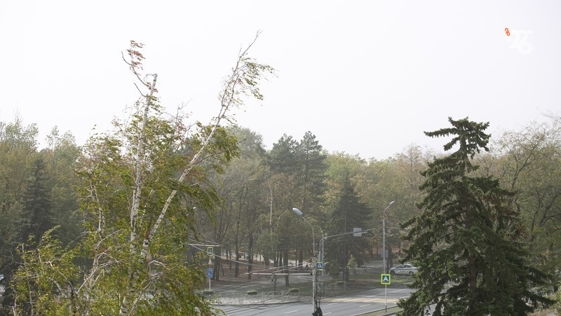      Фото: ИА «Победа26»