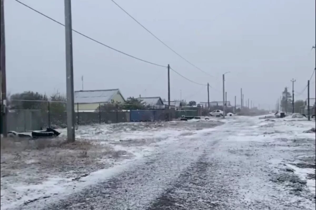    Волгоградцы делятся первыми снежными видео