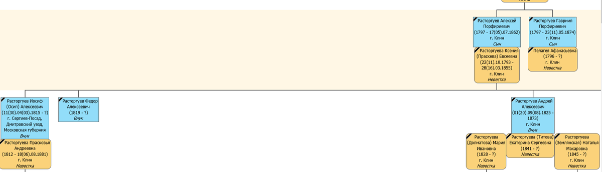 Фрагмент родословного древа клинских купцов Расторгуевых. Алексей Порфирьевич Расторгуев и его родственники