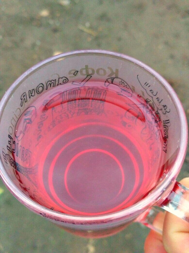 Домашнее вино