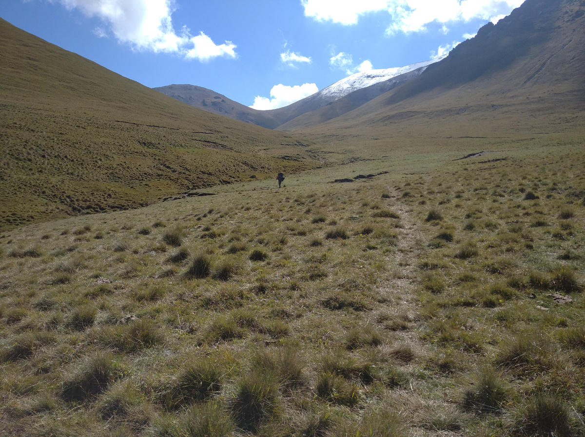 Идём дальше.