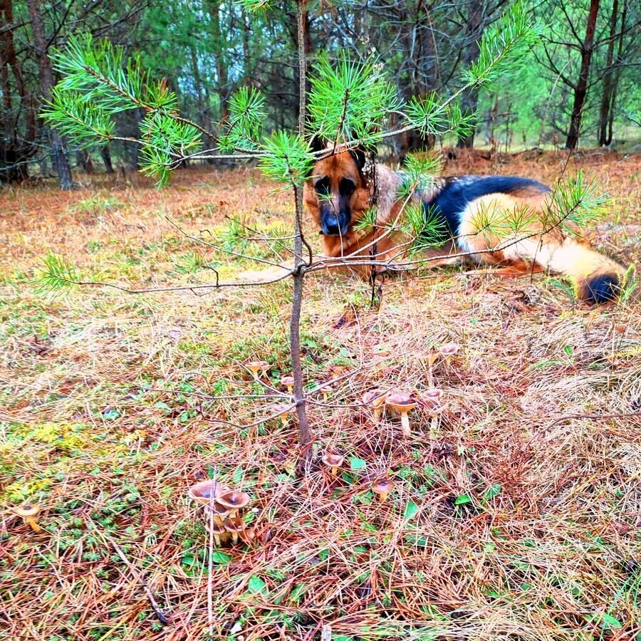 Ляля со мной на тихой охоте.