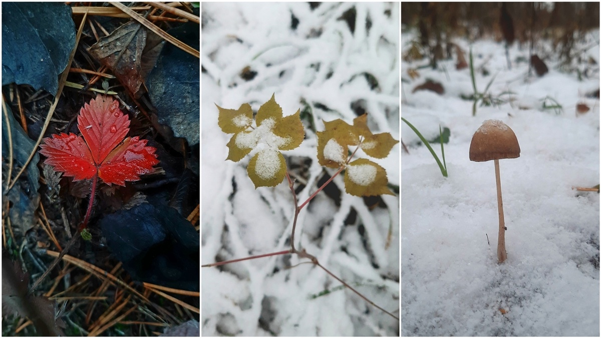 Это на телефон снято