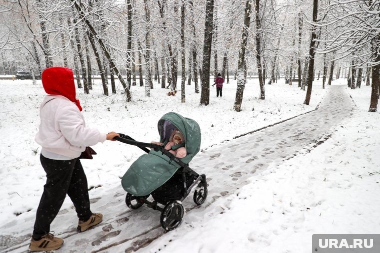 До 15:00 в столице объявлено экстренное предупреждение из-за мокрого снега. Фото: Михаил Климентьев/ТАСС