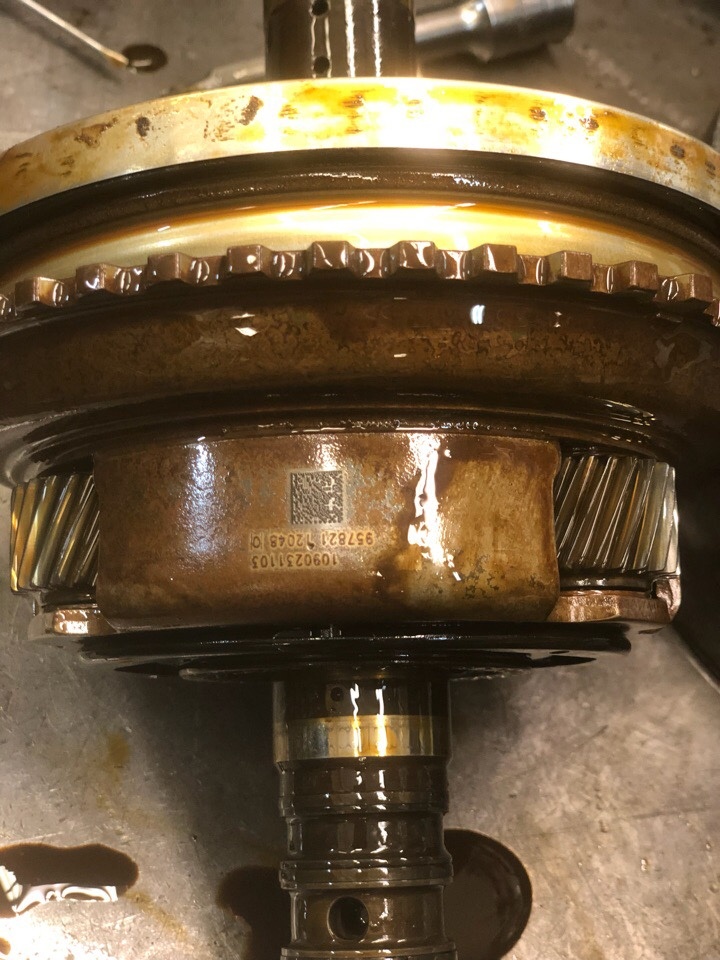 Фото: ZFMaster, 2018 г.