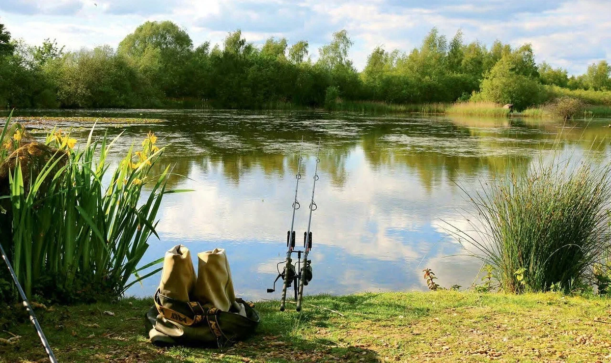 Фото с сайта: https://admdankov.ru/upload/files/news/VMrsuS9uoXw.jpg