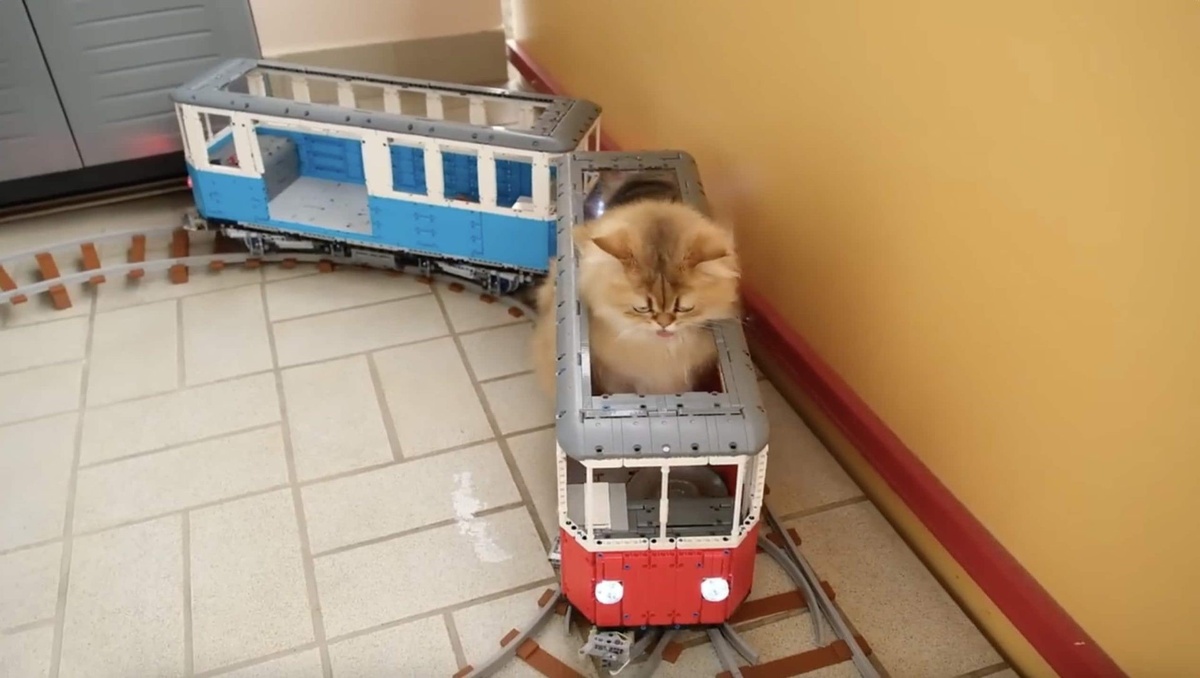 Building a Cat-Sized Lego Train