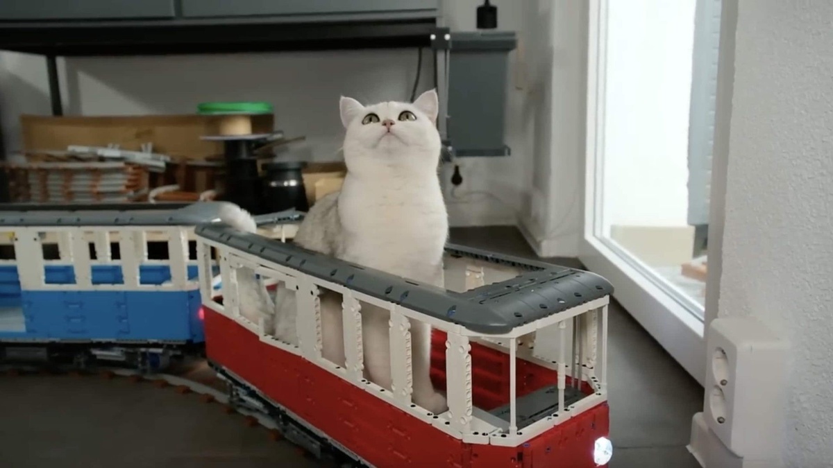 Building a Cat-Sized Lego Train