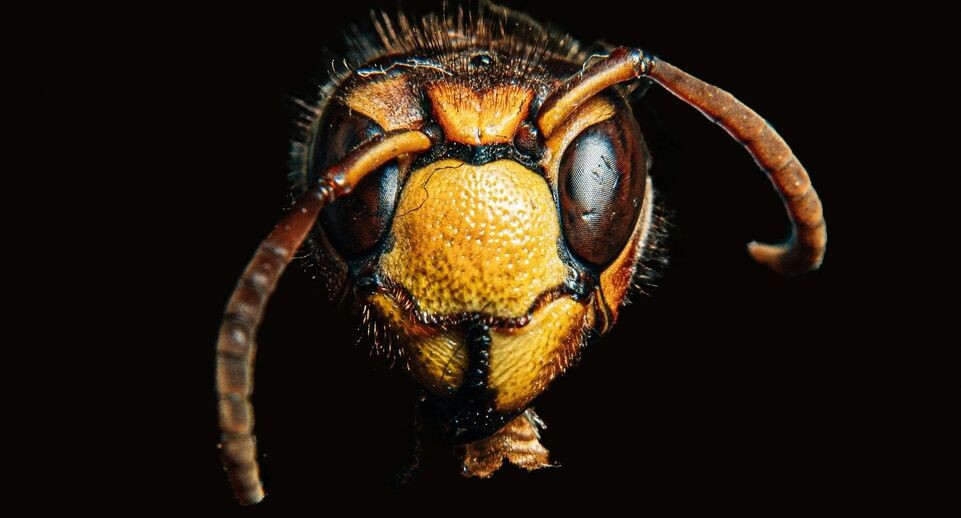    Max Muselmann / Unsplash