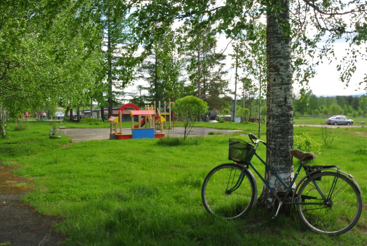 Двор Комарова 9а.  Дальше сотни километров леса...