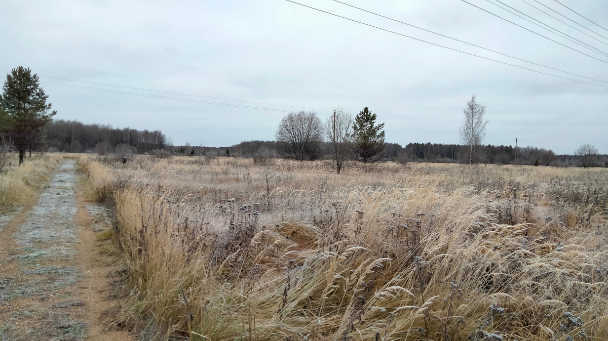 Вот такая сейчас погода... Райской её не не назвать, хотя вид красивый. 