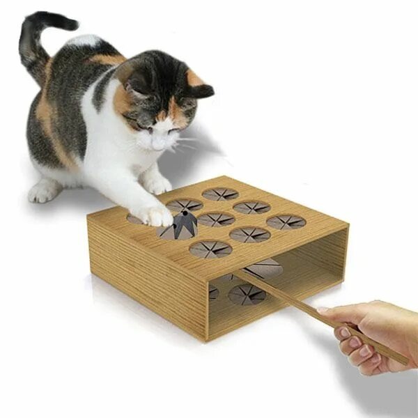 Фото из Интернета.