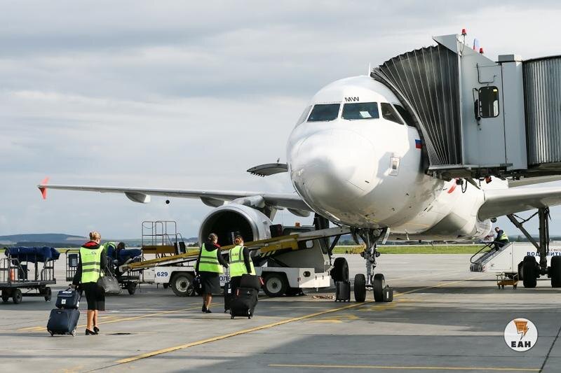    ЕАН / Алексей Колчин. Авиадебоширу не понравилось лицо соседа