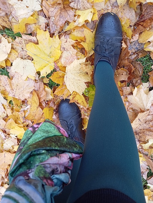 Рига, 31 октября 2024