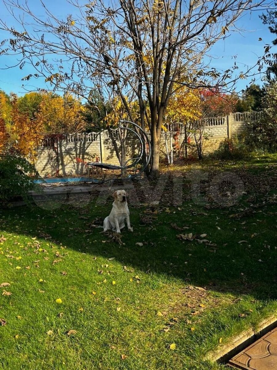    Дом в Сосновке. Источник: avito.ru