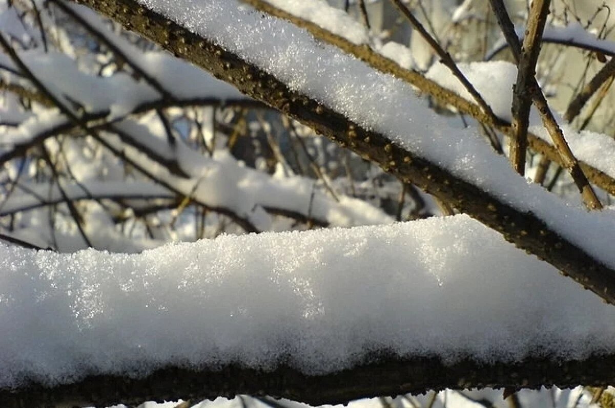    Сказка ненадолго.