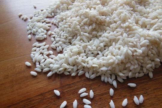    В Южной Корее порассуждали о зерновой помощи России для КНДР в обмен на поддержку